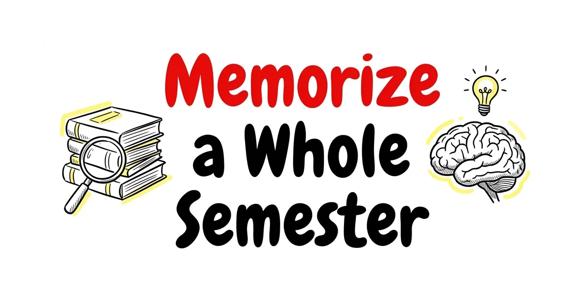 How to Memorize a Whole Semester of Notes in 2 Weeks (Without Losing Your Mind) β TikoNote